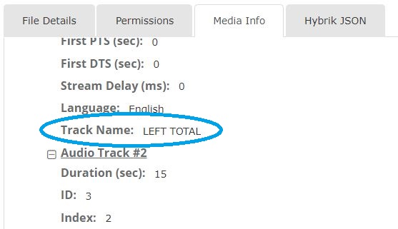 audio_track_name_example